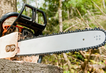 Chainsaw Blade Sharpening